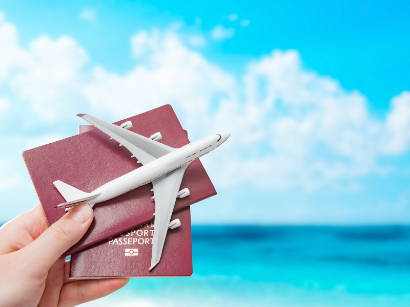 Travel & Airline
